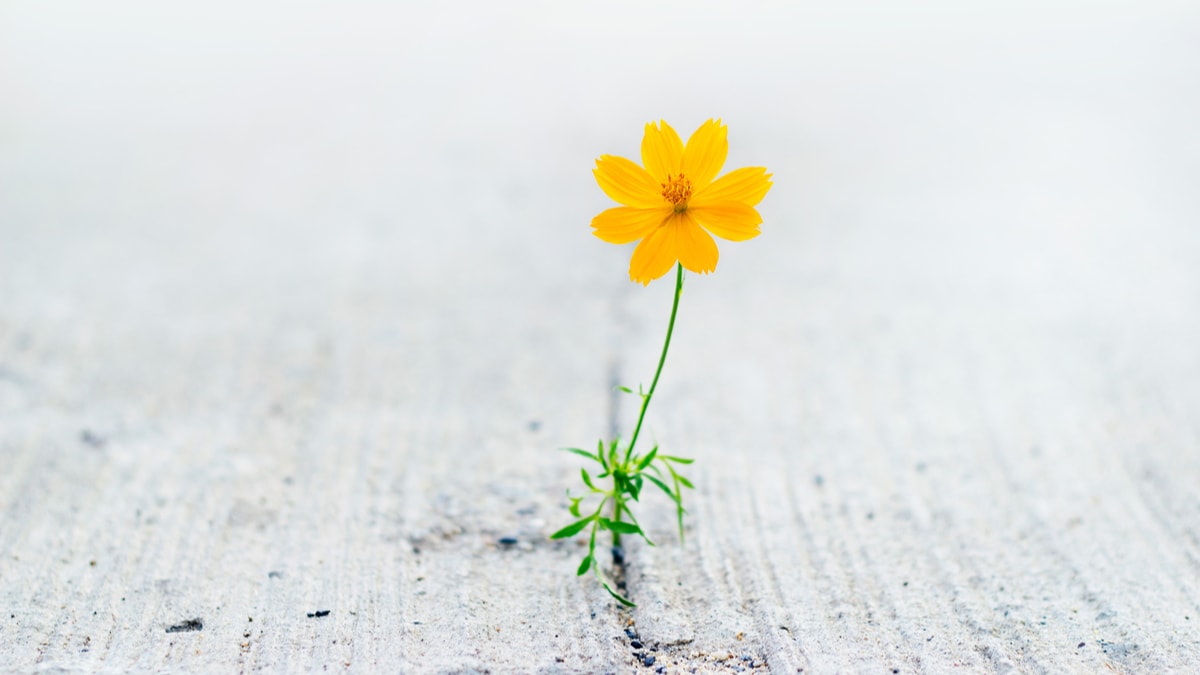 Cause marketing: how your brand can stand out, inspire action and make a difference