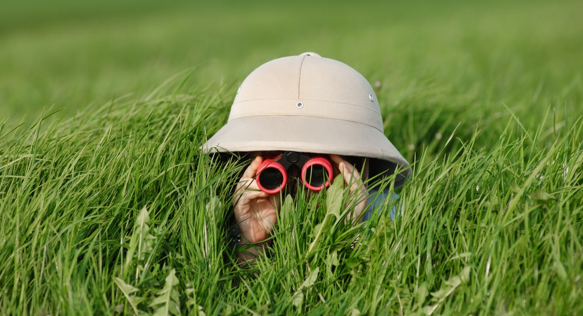 How to Maximize Your Business’ Instagram Discoverability