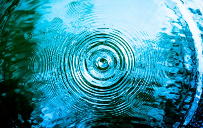 No Going Back: Applying 2020 Marketing Lessons in a New Year