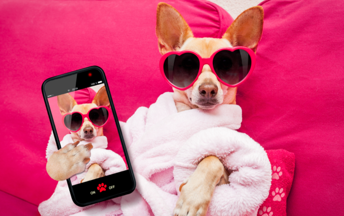 How to Determine Whether a Social Media Influencer is Effective